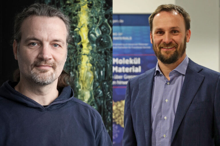 Electrocatalysis and brain mechanics: Two ERC Synergy Grants for FAU researchers