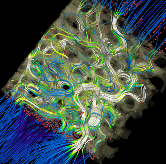 Simulation image of Coupled lattice Boltzmann and discrete element method simulation of particle-laden flows in porous media. (Dr. Qingguang Xie, Johannes Hielscher, Prof. Jens Harting, Dynamics of Complex Fluids and Interfaces / Helmholtz Institute Erlangen-Nürnberg for Renewable Energy)