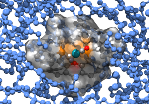 Xantphos based hydroformylation catalyst solvated in a Bis-polytethylene glycol-functionalized (mPEG) imidazolium based Ionic liquid. (image and research: Dr. Christian Wick, Physics Underlying Life Sciences PULS)